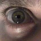 Profile picture of davidisgoliath