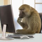 Profile picture of yeehaws